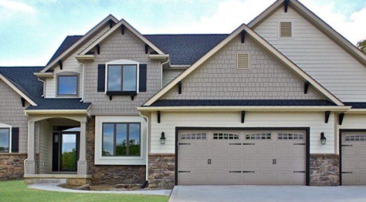 Expert Pest Control Services | Safe & Effective Solutions for Your Home