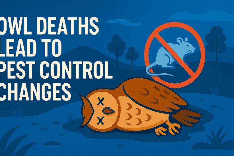 Owl deaths lead to pest control changes