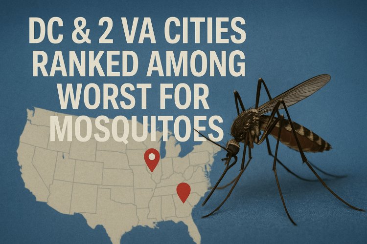 DC & 2 VA Cities Ranked Among Worst for Mosquitoes